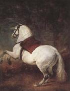 Diego Velazquez A White Horse (df01) oil on canvas